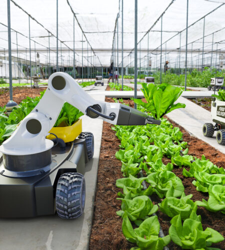 Agriculture Robotic