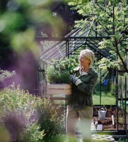 Senior woman carrying crate with plants