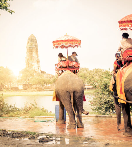 Tourists riding elephants in ayutthaya thailand